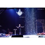 Люстра Елизавета в Симферополе