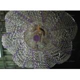 Люстра Космос № 2 фиолетовая в Симферополе