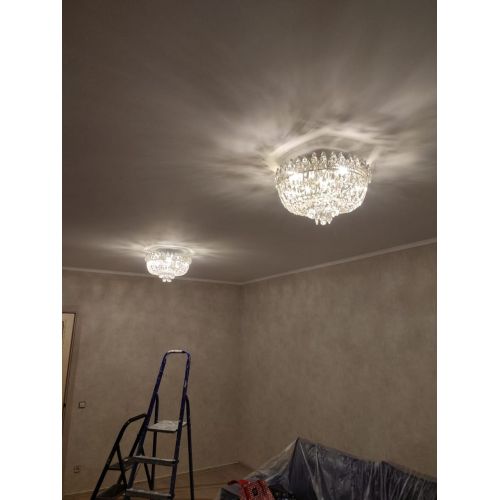 Люстра Астра Корона №5 в Симферополе Гусь Хрустальный