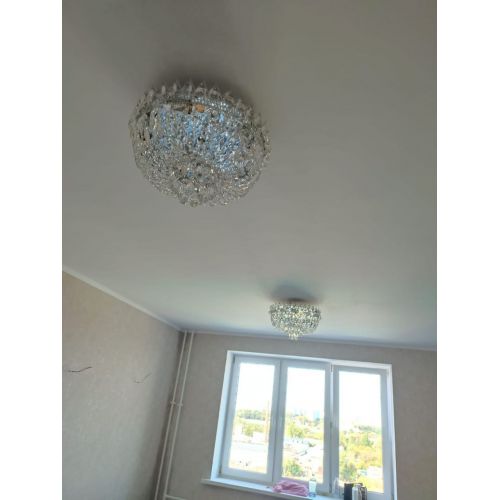 Люстра Астра Корона №5 в Симферополе Гусь Хрустальный