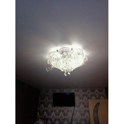 Люстра Камея №1 в Симферополе Гусь Хрустальный